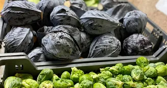 Marché de l'Accueillette du Mignon