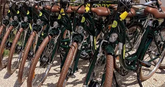 Velo Mimo