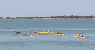 Location de kayak, SUP et balades nautiques encadrées