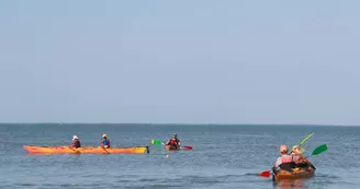 Location de kayak, SUP et balades nautiques encadrées