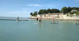 Location de kayak, SUP et balades nautiques encadrées