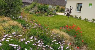 Domaine Marodi - Gîte Jasmin - 2 pers Domaine Marodi - Gîte Jasmin - 2 pers