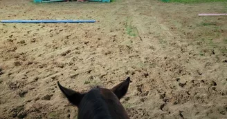 Haras de l'Ilatte