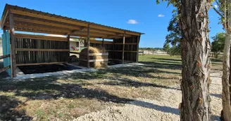 Haras de l'Ilatte