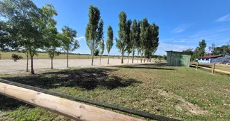Haras de l'Ilatte