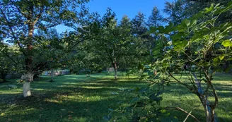Le Bois des Fées