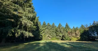 Le Bois des Fées
