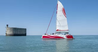 Compagnie interîles – Sorties en catamaran à voile (BOYARDVILLE)