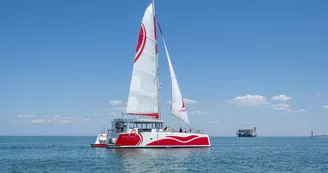 Compagnie interîles – Sorties en catamaran à voile (BOYARDVILLE)