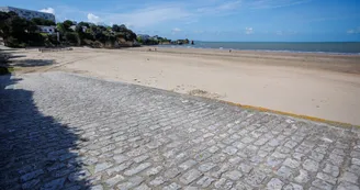 Georget François Georget François