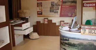 Espace découverte