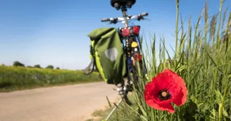 VDS mobilité - Réparateur