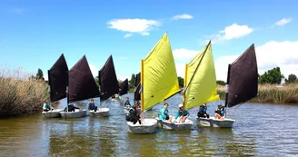 Stage d'optimist