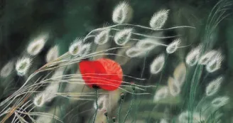 Exposition Le Trait d'Union des Arts