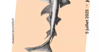 Exposition - De piscibus - Dessiner la faune marine de Aldrovandi à l'époque contemporaine