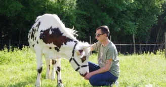 Rémy's Farm