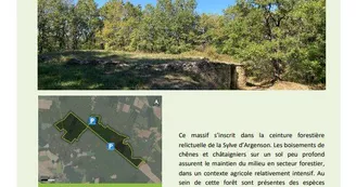 Forêt de la Boixe Forêt de la Boixe