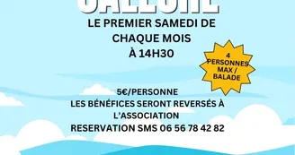 Balade en calèche