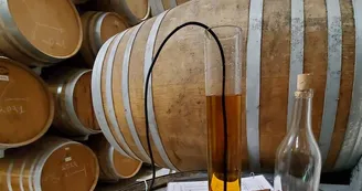 Daelly Cognac