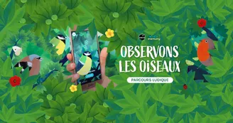 « Birdie Memory : écouter les oiseaux »