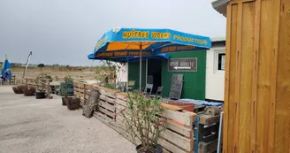 Huîtres Videau - Cabane de dégustation