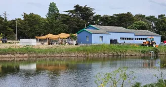 Les Marais de la Brande Les Marais de la Brande