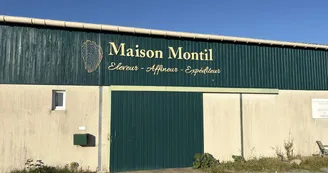 Maison Montil - Dégustation « Chez Léone »