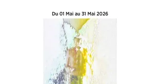 Exposition de Johan De Vries à la Tza Tza Tzu Galerie
