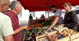 Marché du matin en musique