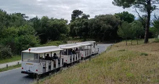 Le petit train des plages de Boyardville