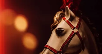 Circus Royan Circus Royan