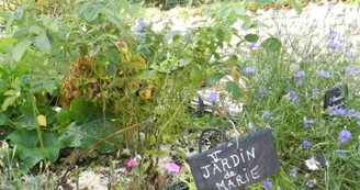 Jardin médiéval de la Sagesse - Amis de Jonzac Jardin médiéval de la Sagesse - Amis de Jonzac