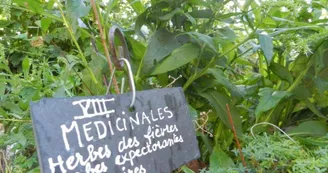 Jardin médiéval de la Sagesse - Amis de Jonzac Jardin médiéval de la Sagesse - Amis de Jonzac