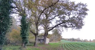 La chapelle