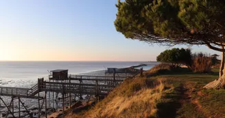 carrelets