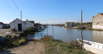 Paysage ostréicole
