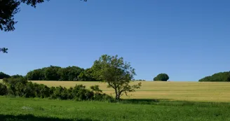 Campagne Campagne