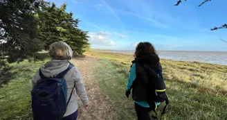 Chemin d'Oléron - Le Château d'Oléron à Boyardville Chemin d'Oléron - Le Château d'Oléron à Boyardville