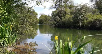 Le fleuve Charente Le fleuve Charente