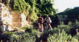 Circuit VTT Lycee Saint-Antoine N19 Foret de la Lande chateau d Orignac