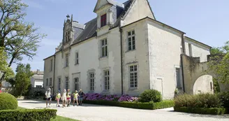 Circuit VTT La Balade des Saints - N°16 estuaire de la Gironde chateau de Beaulon