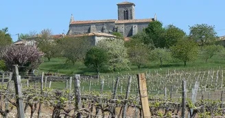 Eglise Ste-Lheurine Vignoble du Cognac Haute-Saintonge panorama moulin Arthus Eglise Ste-Lheurine Vignoble du Cognac Haute-Saintonge panorama moulin Arthus