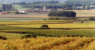 Moulin d Arthus Ste-Lheurine Vignoble du Cognac Haute-Saintonge Neuillac Moulin d Arthus Ste-Lheurine Vignoble du Cognac Haute-Saintonge Neuillac