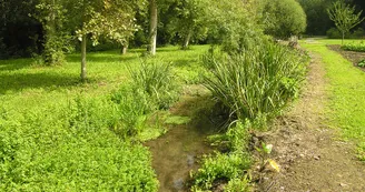 Ruisseau Le Villiers Ste-Lheurine Haute-Saintonge Vignoble du Cognac Ruisseau Le Villiers Ste-Lheurine Haute-Saintonge Vignoble du Cognac
