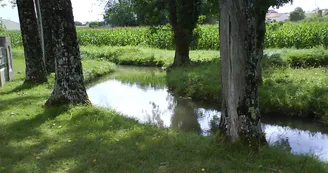 Ruisseau du Perat aire de pique-nique halte equestre St-Martial-sur-Ne Ruisseau du Perat aire de pique-nique halte equestre St-Martial-sur-Ne