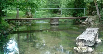 Passage à gué - Mouton Passage à gué - Mouton