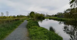 73876818281d7c3380df3a14e232810e79f71210.jpeg