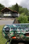 Géocaching Terra Aventura : A la pierre et au moulin