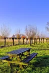 Aire de pique-nique - Saint-Julien-de-l'Escap