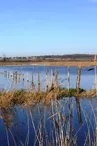 Marais de Saint-Augustin